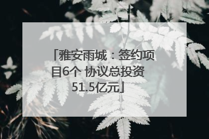 雅安雨城：签约项目6个 协议总投资51.5亿元