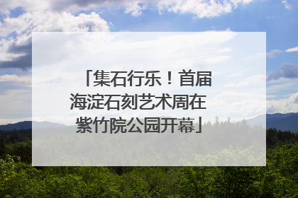 集石行乐！首届海淀石刻艺术周在紫竹院公园开幕