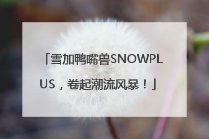 雪加鸭嘴兽SNOWPLUS，卷起潮流风暴！