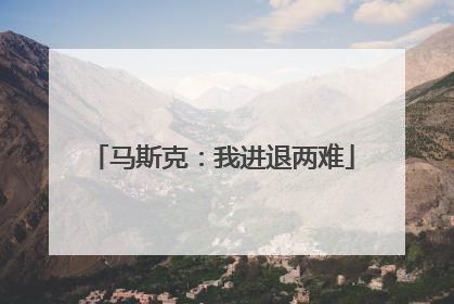 马斯克：我进退两难