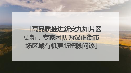 高品质推进新安九如片区更新，专家团队为汉正街市场区域有机更新把脉问诊