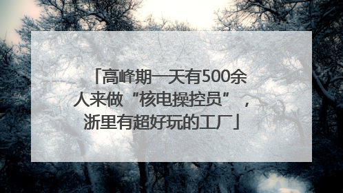 高峰期一天有500余人来做“核电操控员”，浙里有超好玩的工厂