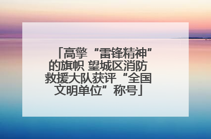高擎“雷锋精神”的旗帜 望城区消防救援大队获评“全国文明单位”称号
