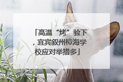 高温“烤”验下，宜宾叙州樟海学校应对举措多