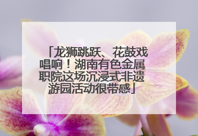 龙狮跳跃、花鼓戏唱响！湖南有色金属职院这场沉浸式非遗游园活动很带感