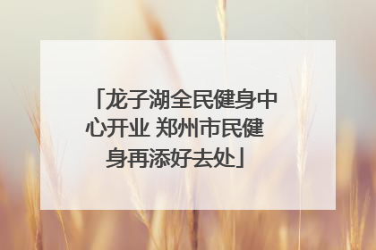 龙子湖全民健身中心开业 郑州市民健身再添好去处