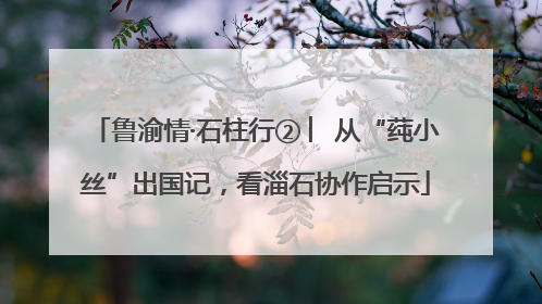 鲁渝情·石柱行② ︳从“莼小丝”出国记，看淄石协作启示