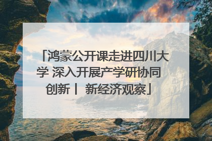 鸿蒙公开课走进四川大学 深入开展产学研协同创新丨 新经济观察