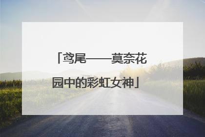 鸢尾——莫奈花园中的彩虹女神