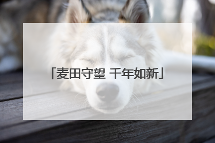 麦田守望 千年如新