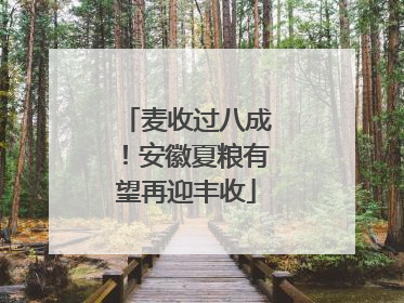 麦收过八成！安徽夏粮有望再迎丰收