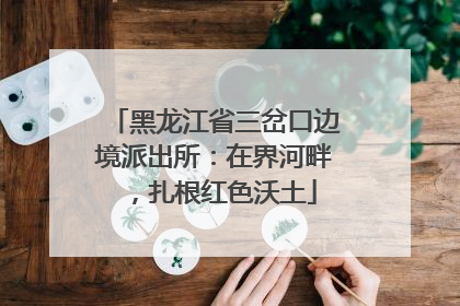 黑龙江省三岔口边境派出所：在界河畔，扎根红色沃土