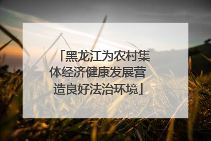 黑龙江为农村集体经济健康发展营造良好法治环境