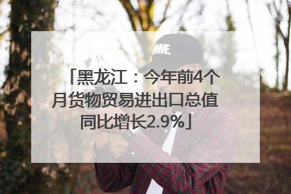 黑龙江：今年前4个月货物贸易进出口总值同比增长2.9%