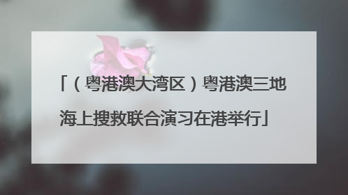 （粤港澳大湾区）粤港澳三地海上搜救联合演习在港举行