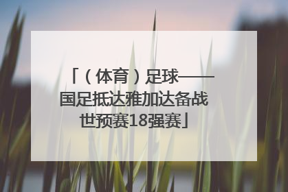 （体育）足球——国足抵达雅加达备战世预赛18强赛