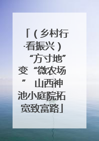（乡村行·看振兴）“方寸地”变“微农场” 山西神池小庭院拓宽致富路