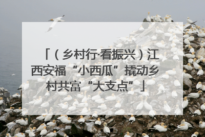 （乡村行·看振兴）江西安福“小西瓜”撬动乡村共富“大支点”