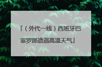 （外代一线）西班牙巴塞罗那遭遇高温天气