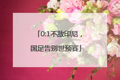 0:1不敌印尼，国足告别世预赛