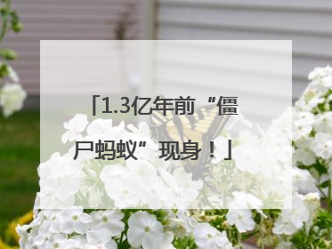1.3亿年前“僵尸蚂蚁”现身！