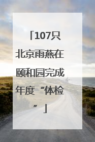 107只北京雨燕在颐和园完成年度“体检”