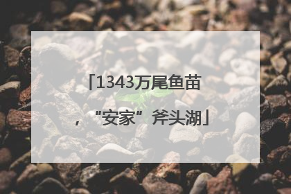 1343万尾鱼苗，“安家”斧头湖