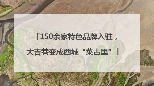 150余家特色品牌入驻，大吉巷变成西城“菜古里”