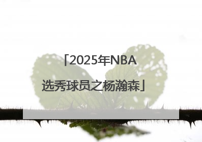 2025年NBA选秀球员之杨瀚森