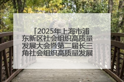 2025年上海市浦东新区社会组织高质量发展大会暨第二届长三角社会组织高质量发展峰会成功举办