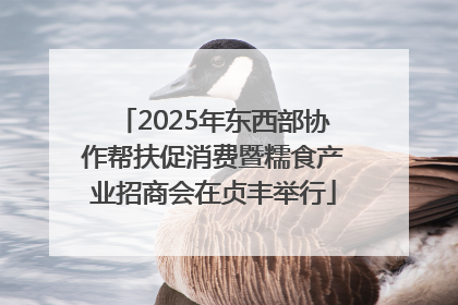 2025年东西部协作帮扶促消费暨糯食产业招商会在贞丰举行