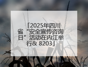 2025年四川省“安全宣传咨询日”活动在内江举行& 8203