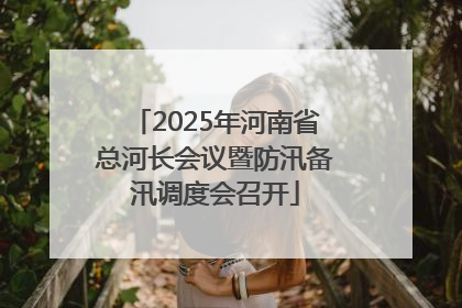 2025年河南省总河长会议暨防汛备汛调度会召开