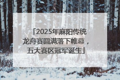 2025年麻阳传统龙舟赛圆满落下帷幕，五大赛区冠军诞生