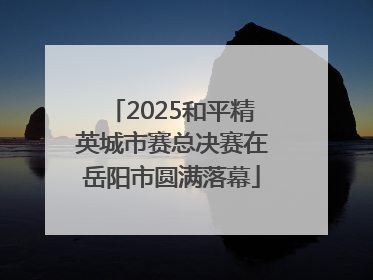 2025和平精英城市赛总决赛在岳阳市圆满落幕