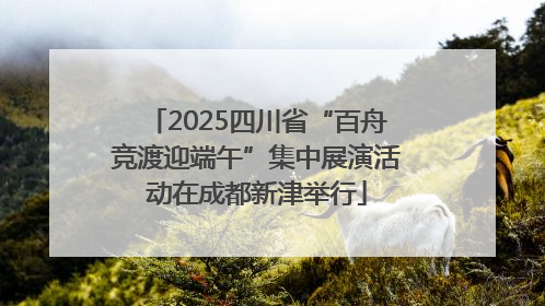 2025四川省“百舟竞渡迎端午”集中展演活动在成都新津举行