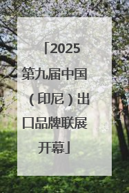 2025第九届中国（印尼）出口品牌联展开幕