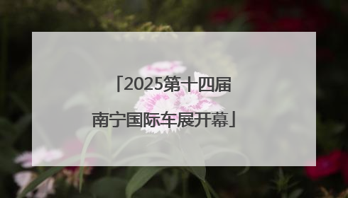 2025第十四届南宁国际车展开幕