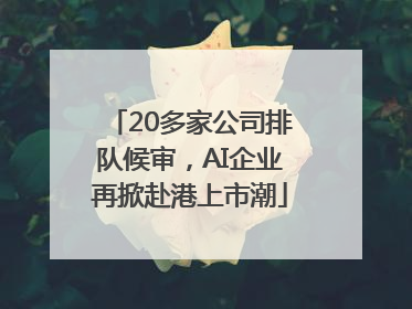 20多家公司排队候审，AI企业再掀赴港上市潮
