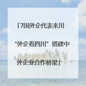 7国外企代表来川 “外企看四川”搭建中外企业合作桥梁