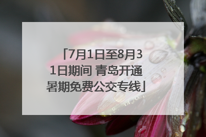 7月1日至8月31日期间 青岛开通暑期免费公交专线