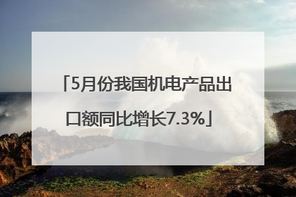 5月份我国机电产品出口额同比增长7.3%