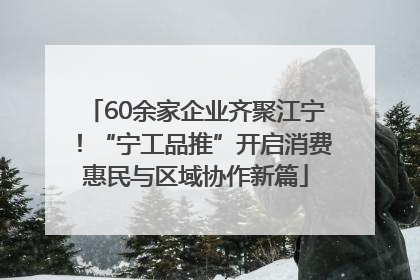 60余家企业齐聚江宁！“宁工品推”开启消费惠民与区域协作新篇