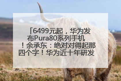 6499元起，华为发布Pura80系列手机！余承东：绝对对得起那四个字！华为近十年研发投入12490亿元