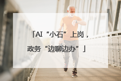 AI“小石”上岗，政务“边聊边办”