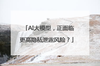 AI大模型，正面临更高隐私泄露风险？