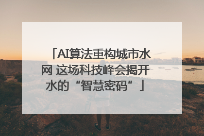 AI算法重构城市水网 这场科技峰会揭开水的“智慧密码”