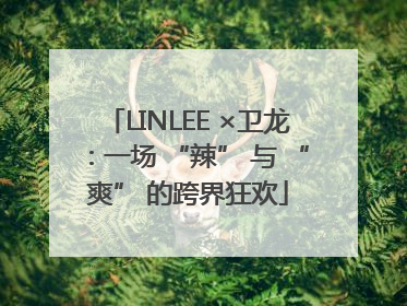 LINLEE ×卫龙：一场 “辣” 与 “爽” 的跨界狂欢