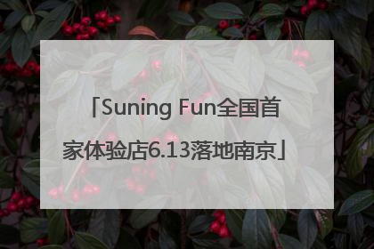 Suning Fun全国首家体验店6.13落地南京